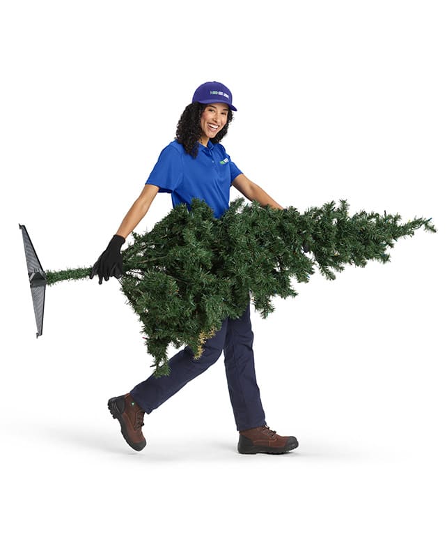 A 1-800-GOT-JUNK? Truck Team Member hauling away a Christmas Tree
