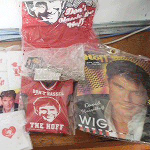 David Hasslhoff merchandise David Hasslhoff merchandise